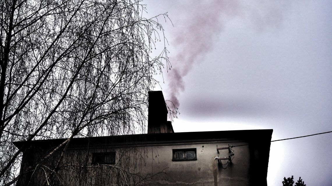 Co zrobić żeby zdrowiej się oddychało w Lublinie i regionie? Urzędnicy pytają mieszkańców