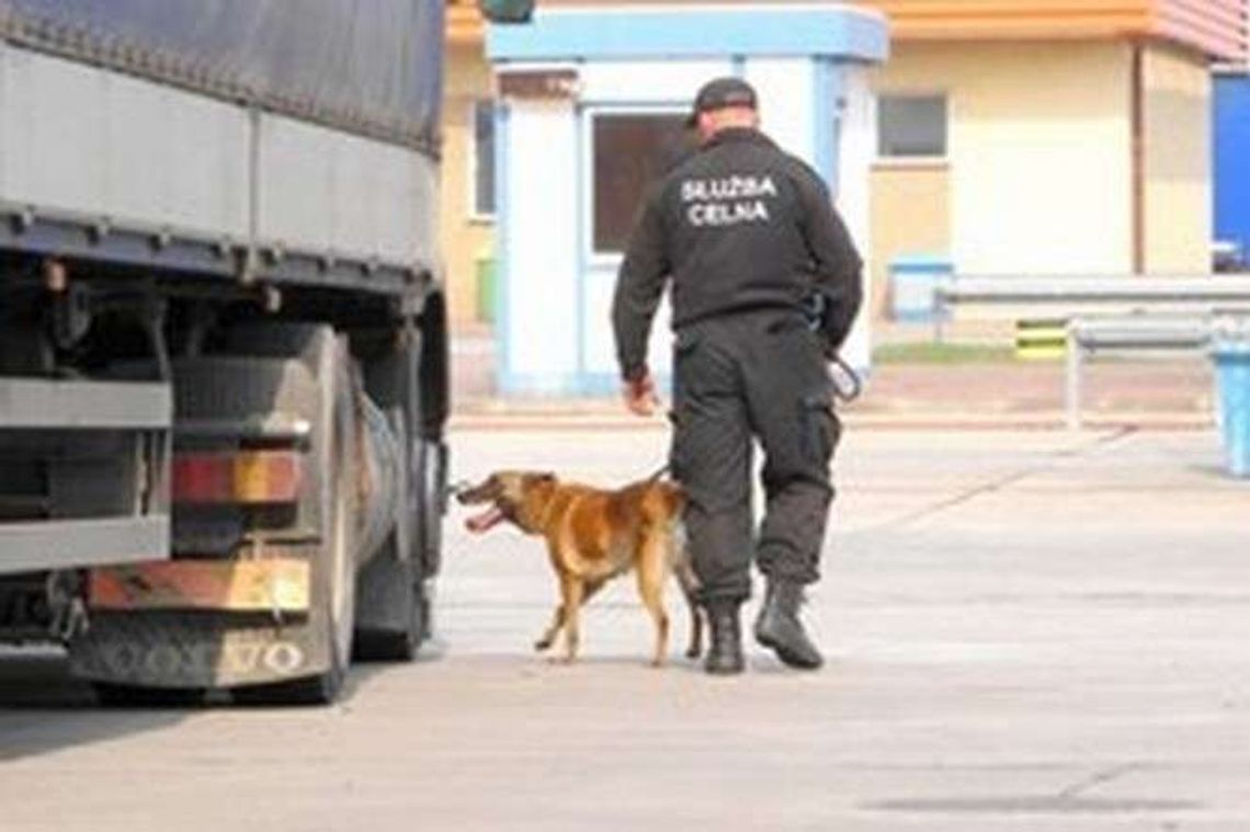 Coraz dłuższe kolejki na granicach Polski z Ukrainą i Białorusią