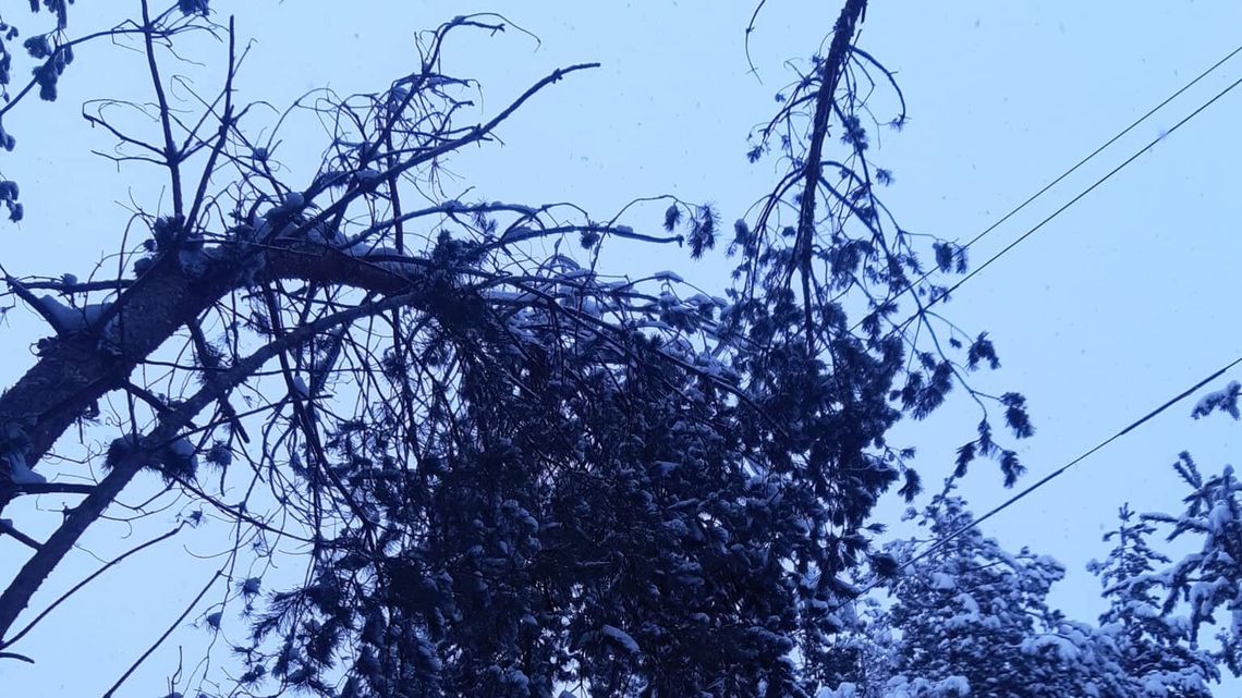 Coraz więcej domów bez prądu. Powodem nocne opady śniegu Coraz więcej domów bez prądu. Powodem nocne opady śniegu