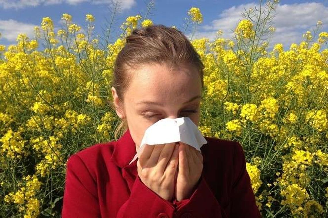 Coraz więcej osób cierpi na alergie. Jak się bada i leczy alergie?