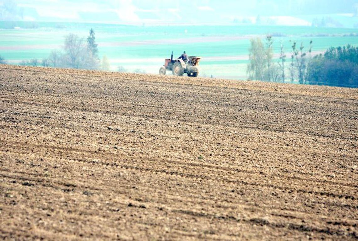 Coraz więcej rolników kupuje ziemię od ANR Coraz więcej rolników kupuje ziemię od ANR