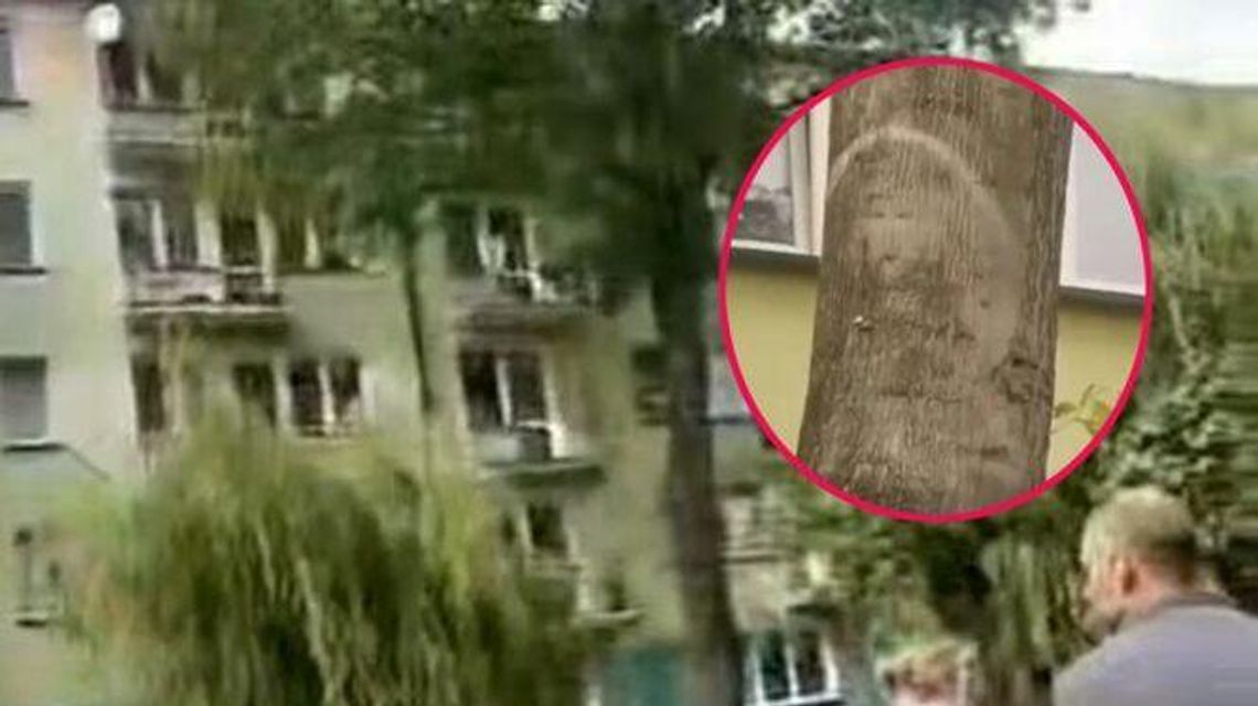 Coś pojawiło się na drzewie i przypomina twarz Jezusa. Ludzie odmawiają modlitwy. Wideo