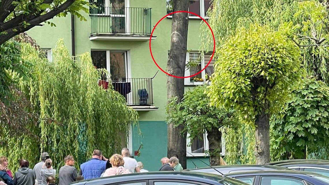 Cud w Parczewie. Ludzie mówią, że słyszeli płacz Jezusa