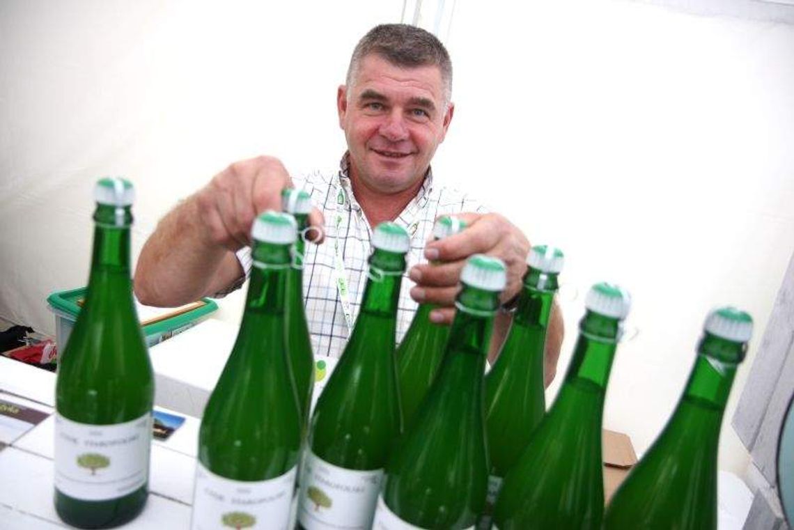 Cydr coraz bardziej popularny. 10 mln litrów sprzedano w tym roku