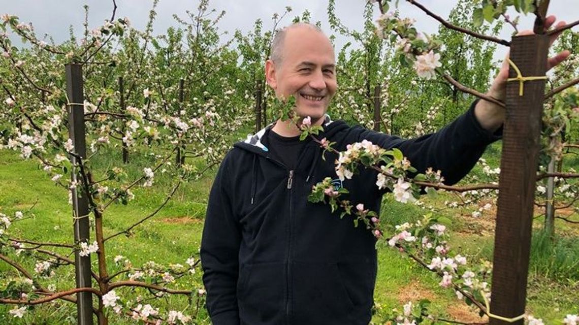 Cydr z Roztocza właśnie trafia do butelek. Producent opowie o nim w internecie Cydr z Roztocza właśnie trafia do butelek. Producent opowie o nim w internecie