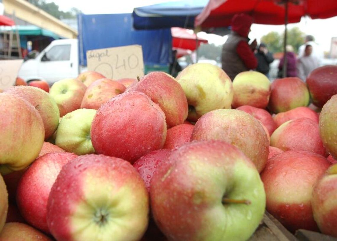 Cydr z woj. lubelskiego podbije Polskę? \"Zainteresowanie rośnie\"