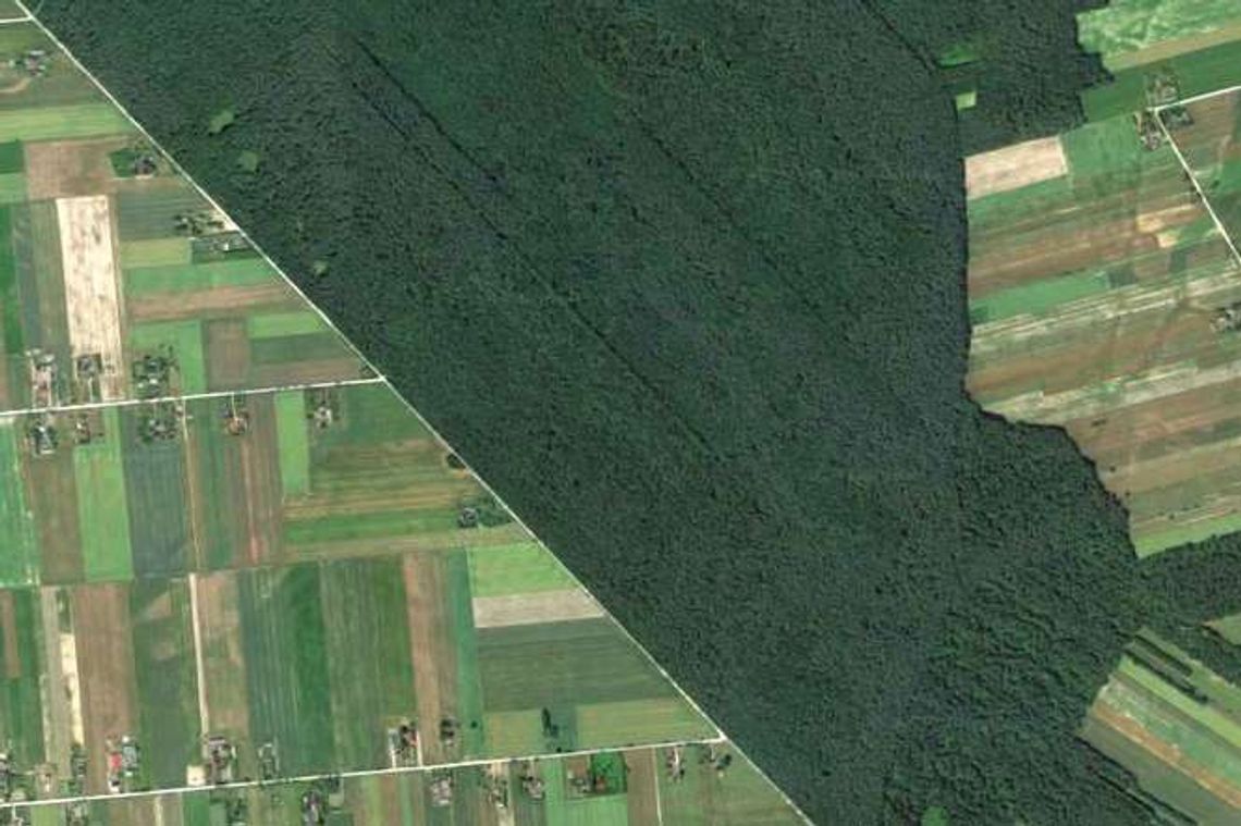 Cyfrowa mapa województwa. Będzie łatwiej rozstrzygnąć spór o miedzę Cyfrowa mapa województwa. Będzie łatwiej rozstrzygnąć spór o miedzę