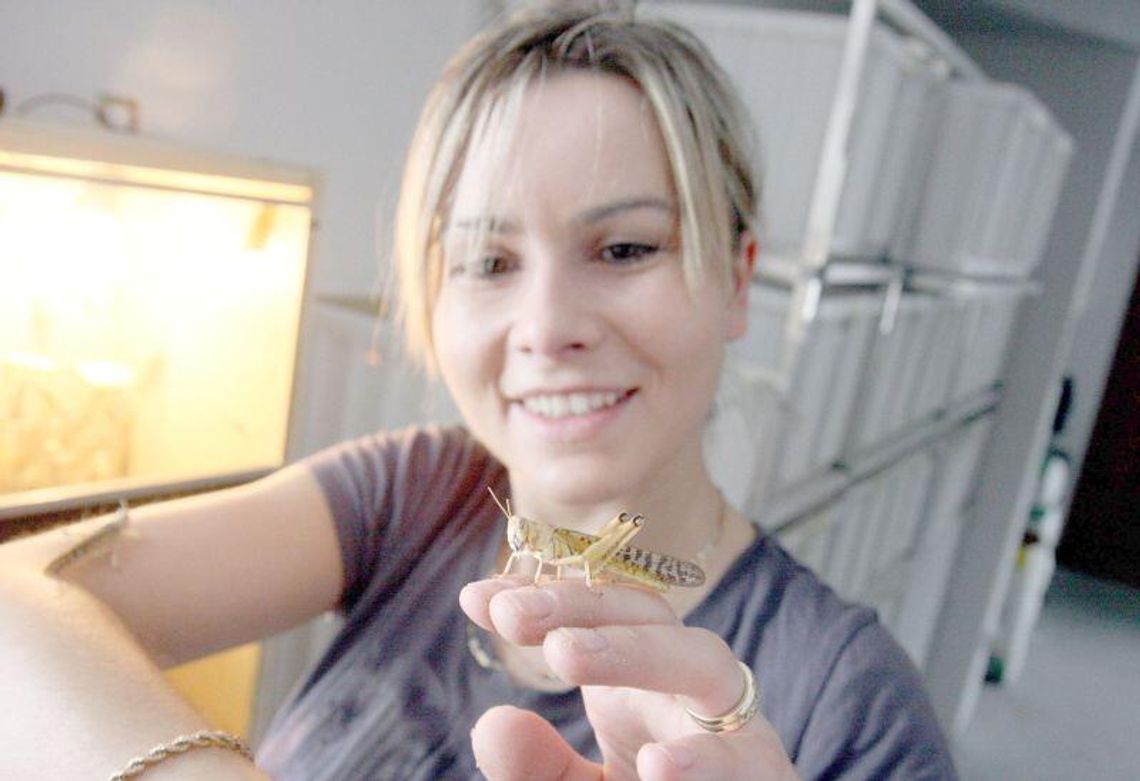 Cykający sposób na życie