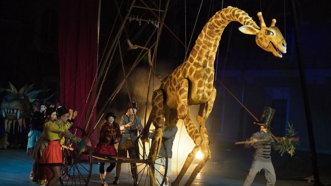Cyrk z żywymi zwierzętami wystąpi w Lublinie. Aktywiści krytykują, właściciel twierdzi, że mają opiekę lepszą „niż w niejednym zoo”