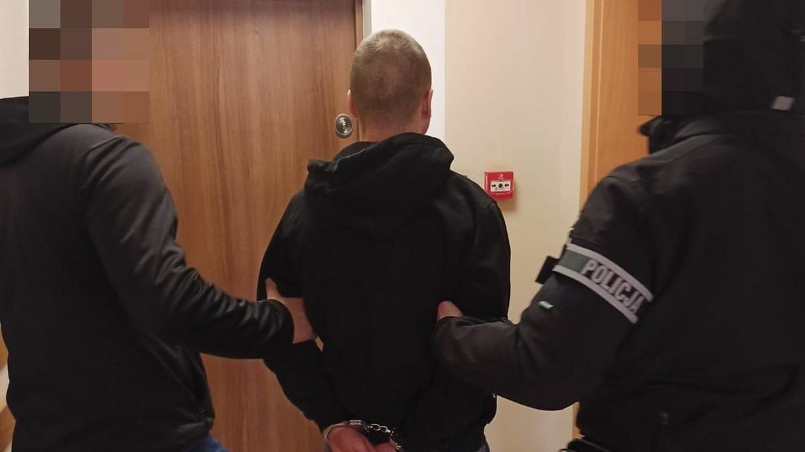 Czarny kot pokazał policjantom, gdzie ukrywa się jego pan Czarny kot pokazał policjantom, gdzie ukrywa się jego pan