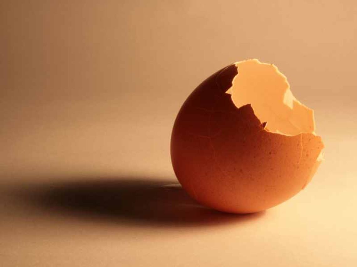 Czarodziejka-złodziejka leczyła jajkami i pieniędzmi