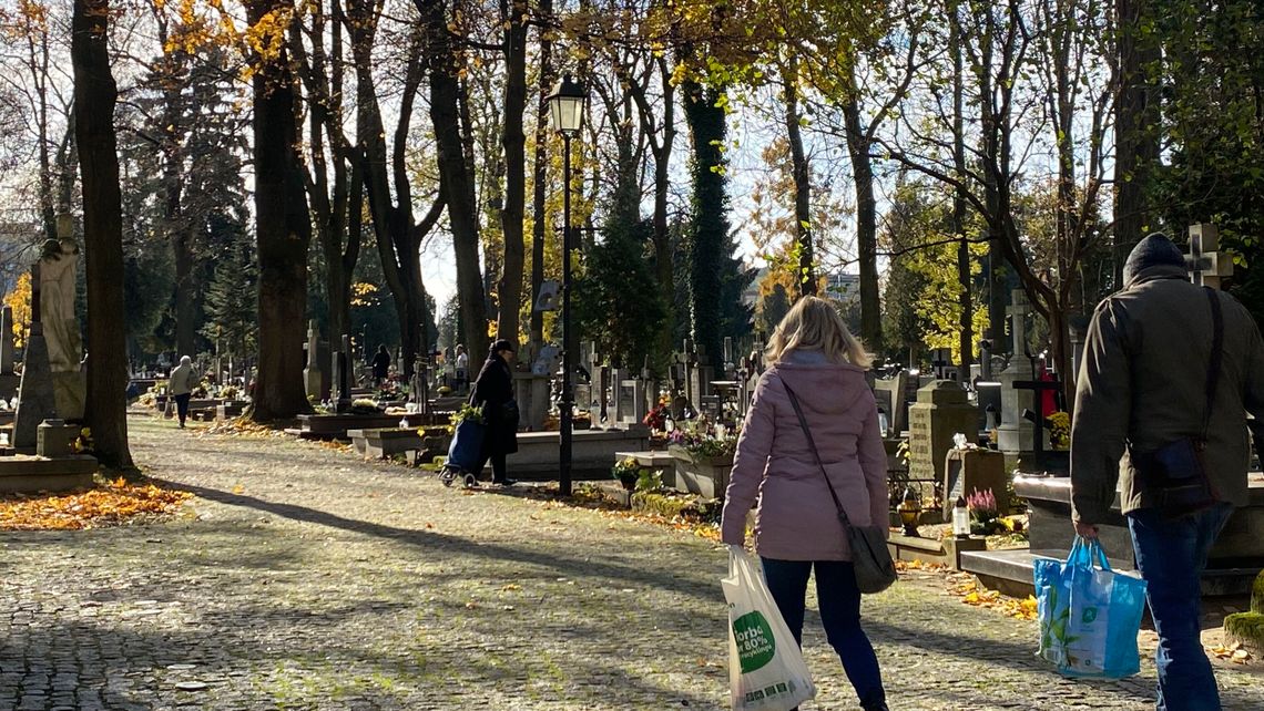 Czas chryzantem i spokoju. Jak Lublin przygotowuje się do Dnia Wszystkich Świętych