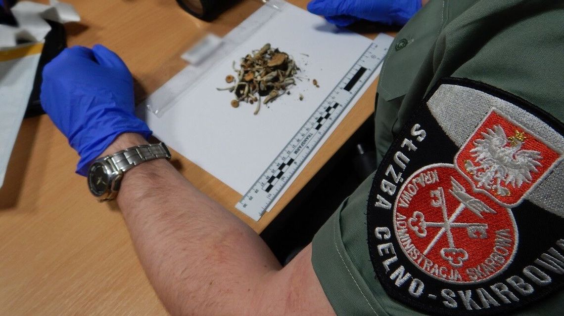 Czego to ludzie nie przemycą... Służba celna ujawnia najdziwniejsze przypadki Czego to ludzie nie przemycą... Służba celna ujawnia najdziwniejsze przypadki