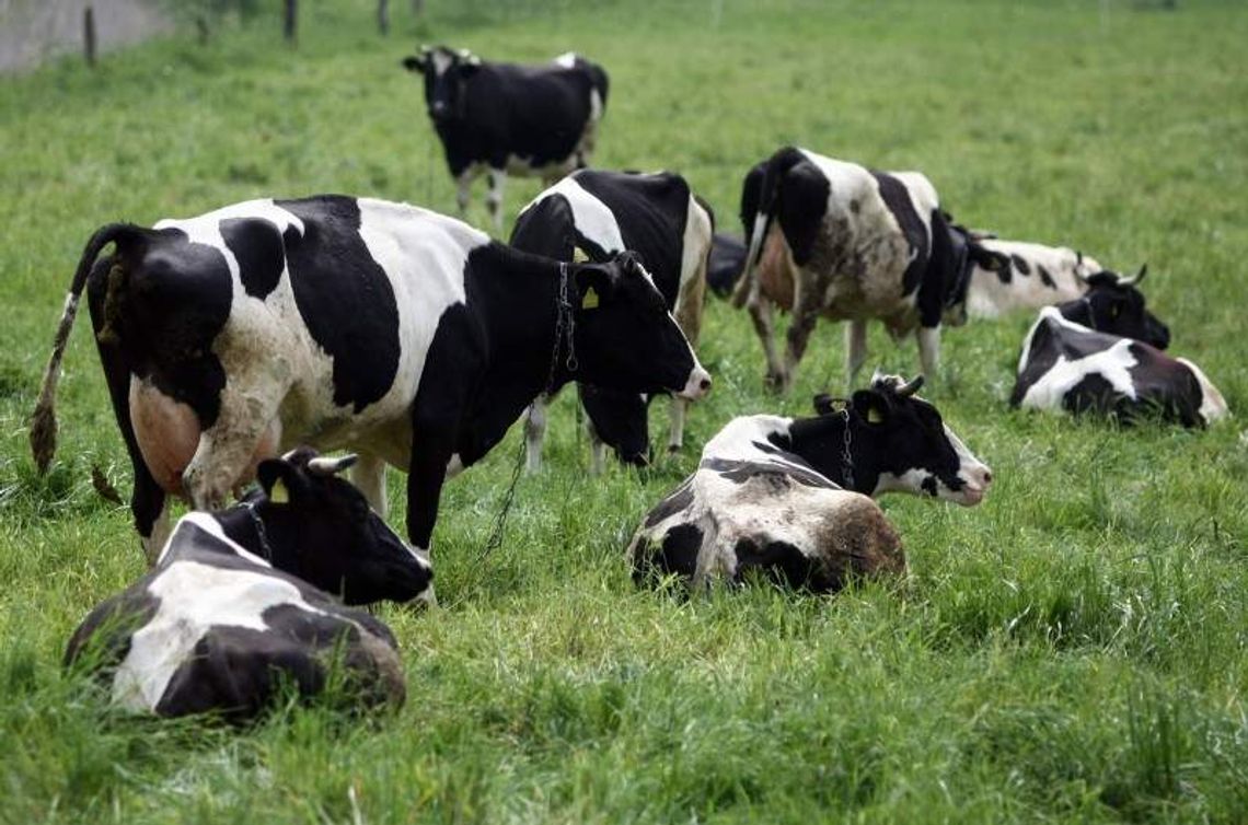 Czekamy na rolników. Do wygrania 10 tys. zł Czekamy na rolników. Do wygrania 10 tys. zł