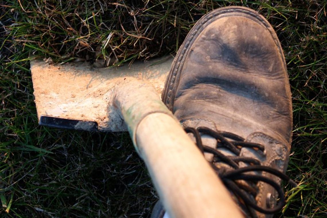 Czermno: Wykopali skarby  z XIII wieku. Teraz muszą zainwestować w ochronę