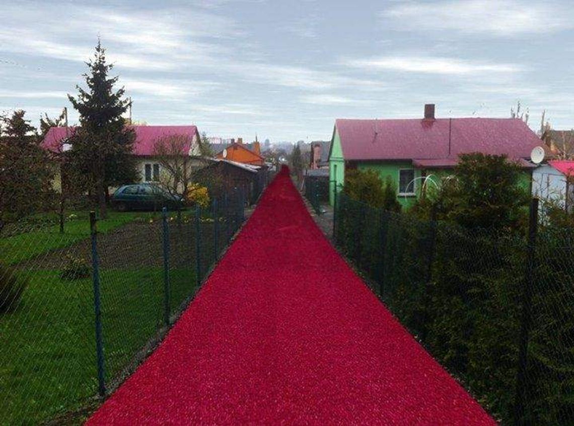 "Czerwony dywanik" na Dzierżawnej