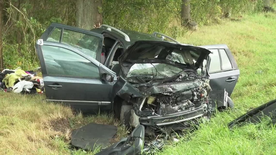 Czołowe zderzenie dwóch samochodów w Wielkopolsce. Siedem osób zostało rannych Czołowe zderzenie dwóch samochodów w Wielkopolsce. Siedem osób zostało rannych