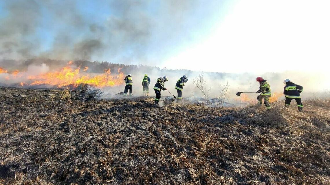 Czterech 13-latków w rękach policji. Poszli pobawić się ogniem