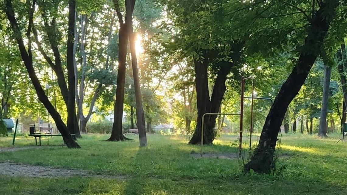 Czternaście ofert, jeden park i wielkie pieniądze. Kto przebuduje Ogródek Jordanowski?