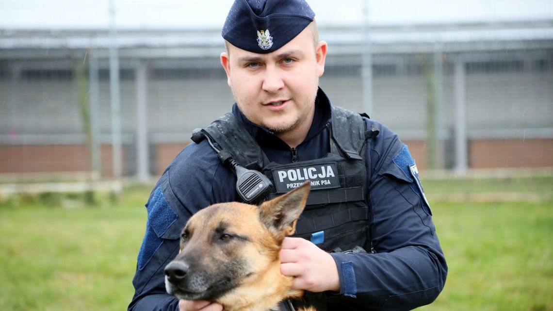 Cztery łapy i mundur. Czworonogi w służbie ojczyzny Cztery łapy i mundur. Czworonogi w służbie ojczyzny