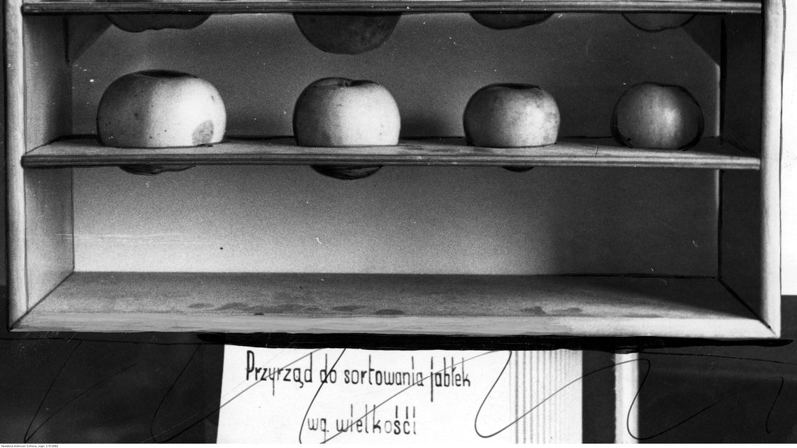 "Czułe guziczki" nie są dla wszystkich