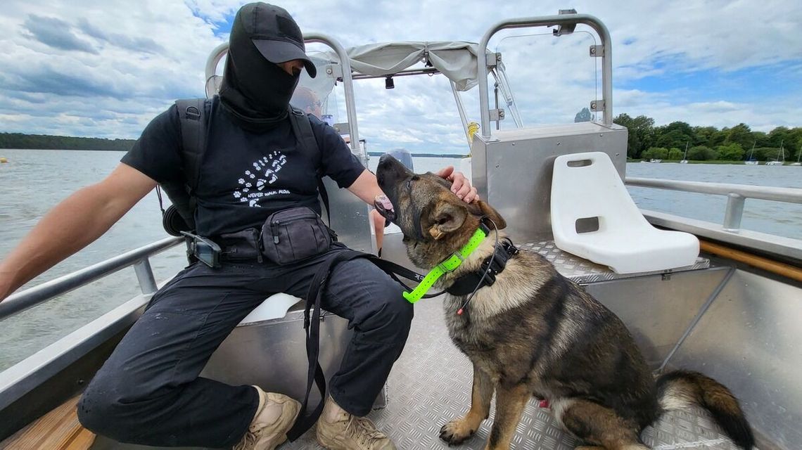 Czworonożni funkcjonariusze w akcji – policyjne psy szkoliły się nad Zalewem Zemborzyckim