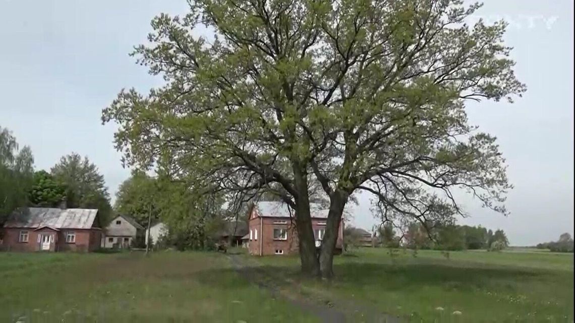 Czy Alojzy zatrzyma budowę autostrady w Lubelskiem? 