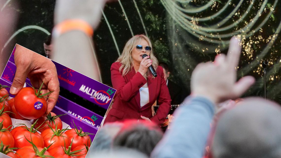 Czy Malinowy król może być z Międzyrzeca Podlaskiego? Autor tekstu piosenki Urszuli spiera się z producentem pomidorów Czy Malinowy król może być z Międzyrzeca Podlaskiego? Autor tekstu piosenki Urszuli spiera się z producentem pomidorów