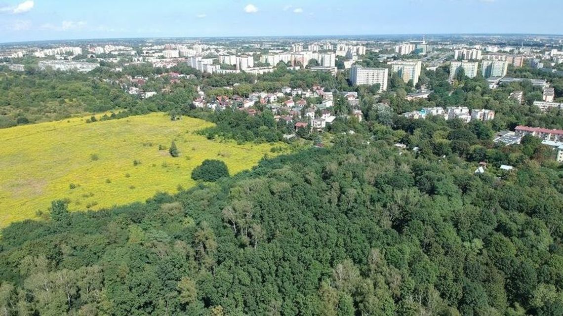 Czy miasto straci 75 hektarów?