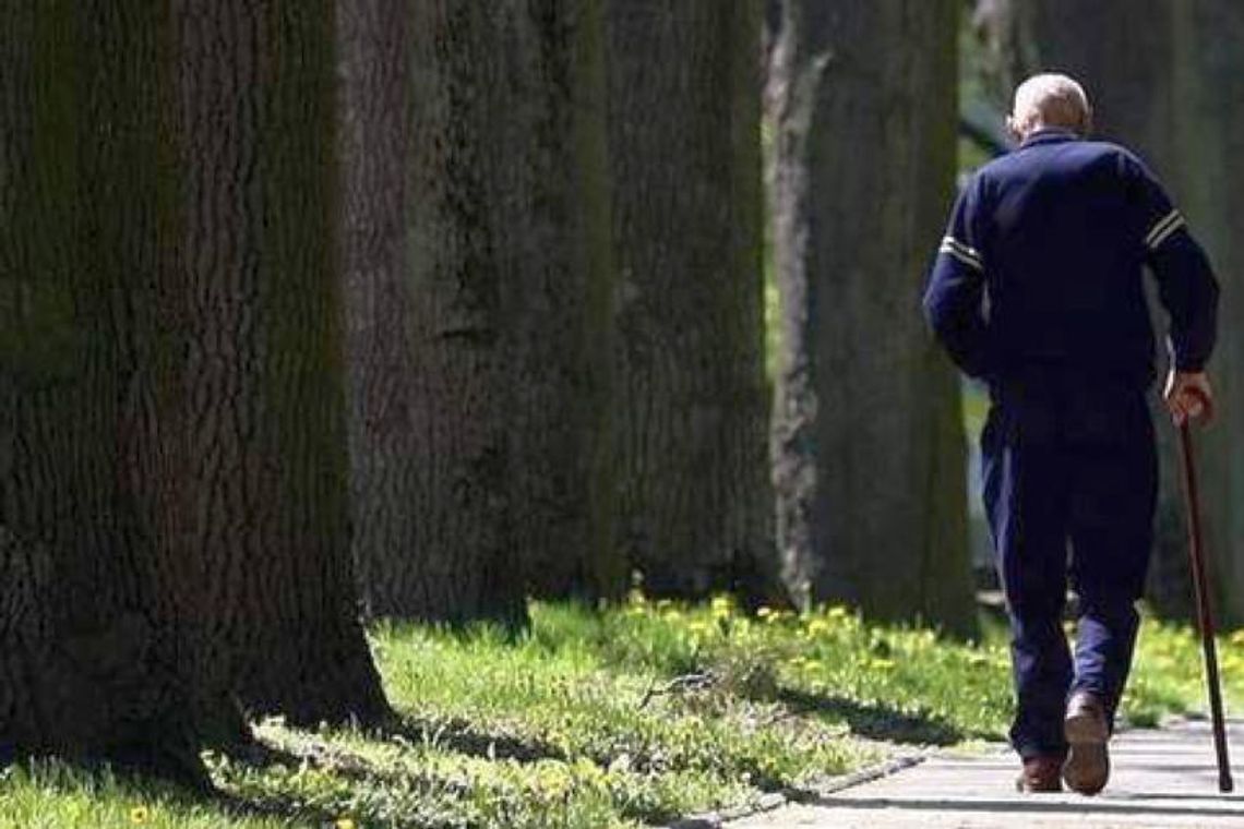 Czy powstanie park przy ul. Zawilcowej?