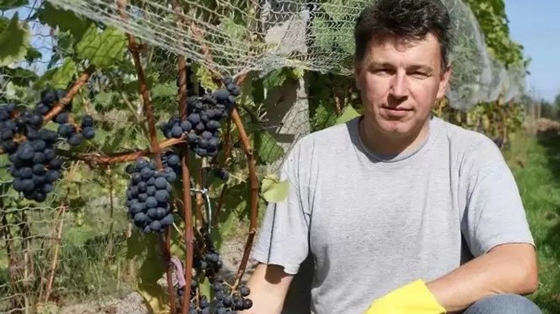 Czy w Polsce z winiarstwa można się utrzymać? Opowiada winiarz z Opola Lubelskiego Czy w Polsce z winiarstwa można się utrzymać? Opowiada winiarz z Opola Lubelskiego