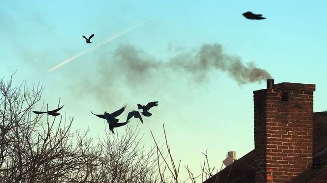 Czy w Radzyniu Podlaskim jest smog. Dowiesz się na spotkaniu 
