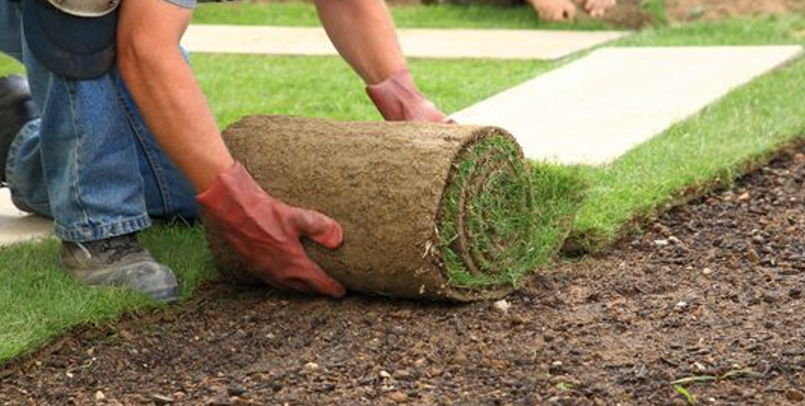Czy warto myśleć o zakładaniu trawy z rolki wiosną?