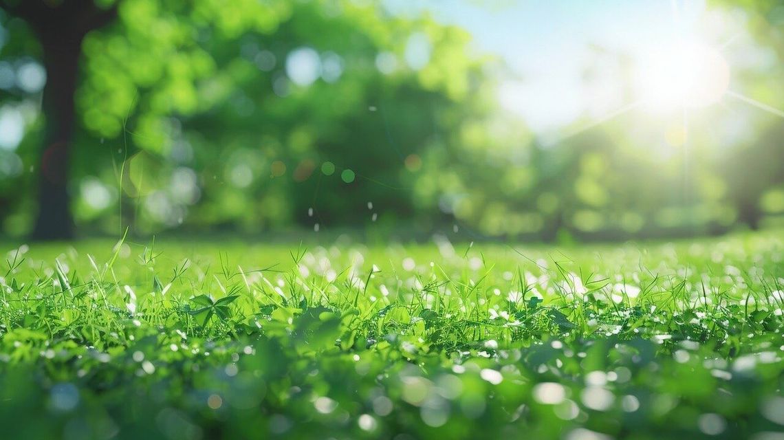 Czym jest alergia i jak sobie z nią radzić