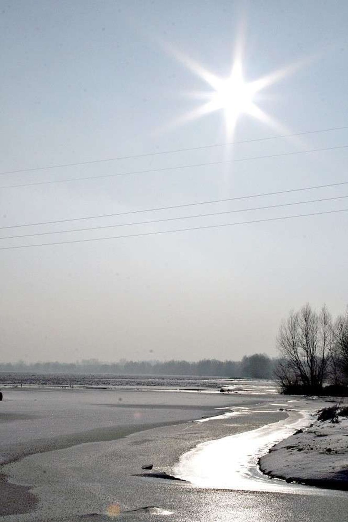 Czym oddychamy w Puławach? Nie wiadomo