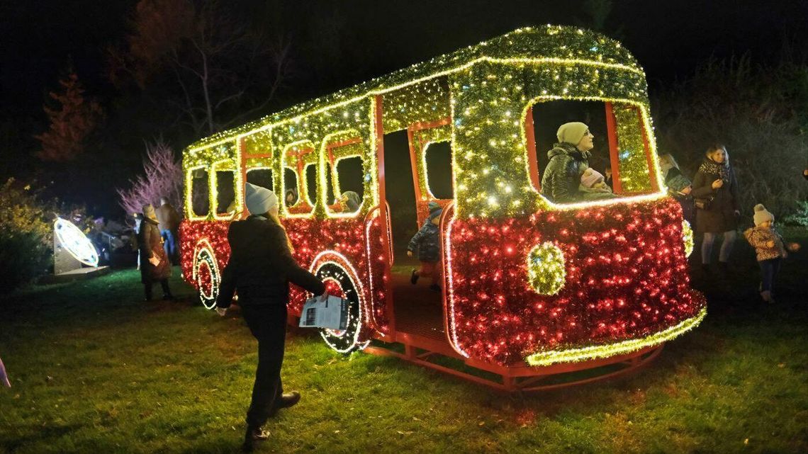 Czysta magia w Ogrodzie Botanicznym UMCS. Idealne miejsce na selfie