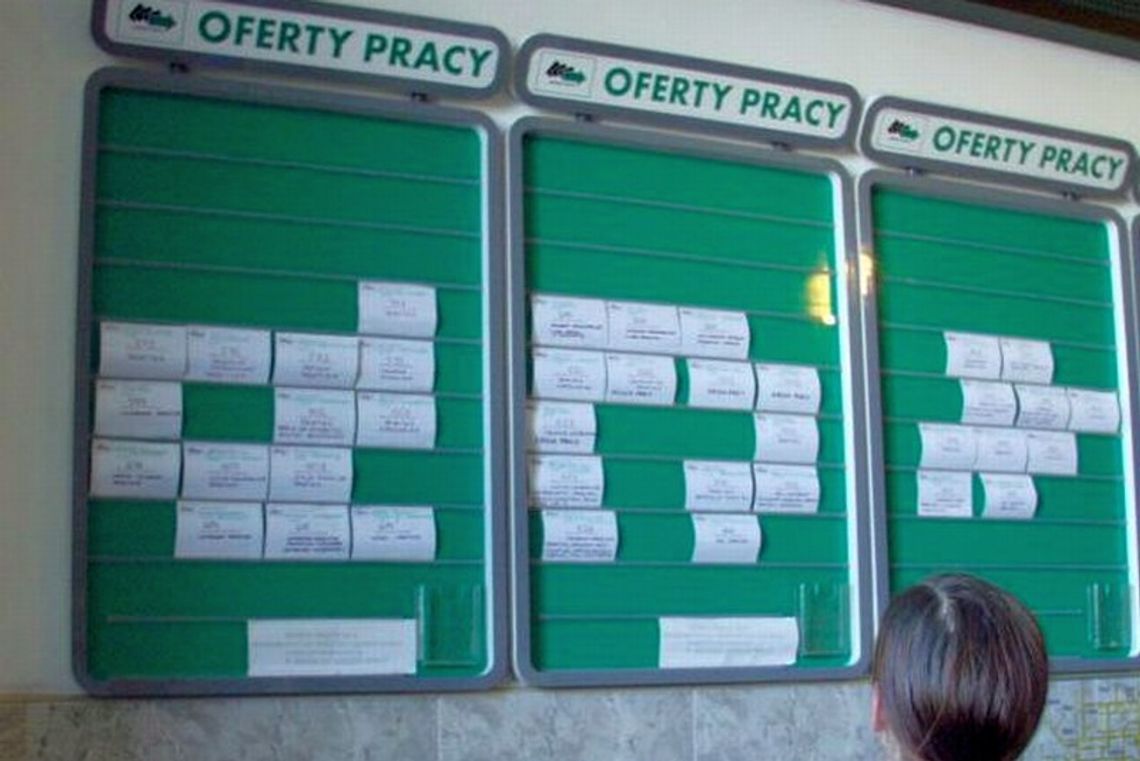 Czytelnicy o szukaniu pracy w Lublinie: \"Kto ma plecy ten ma pracę\" Czytelnicy o szukaniu pracy w Lublinie: \"Kto ma plecy ten ma pracę\"