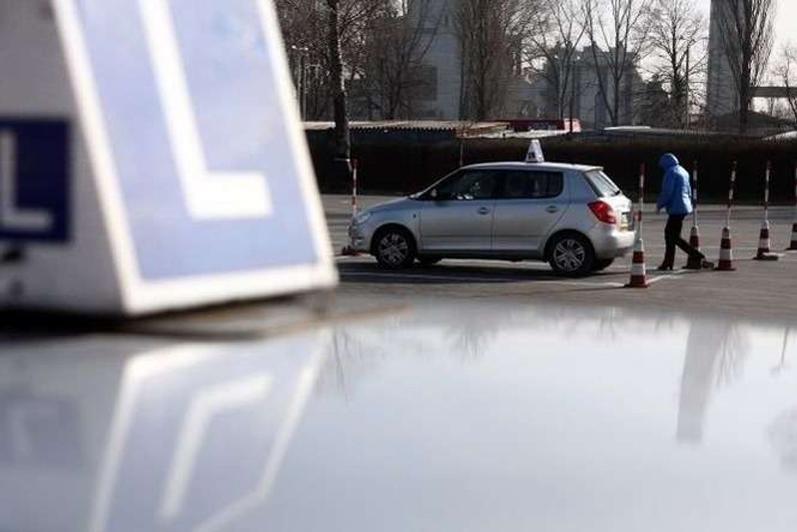 Czytelniczka: Na egzamin praktyczny w WORD Zamość trzeba czekać kilka godzin