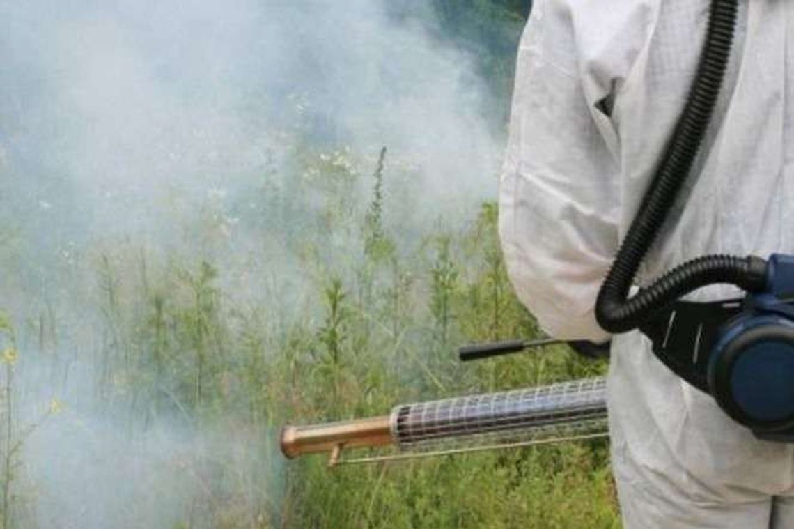 Czytelniczka: "Pryskają w ciągu dnia, a dzieci to wdychają"