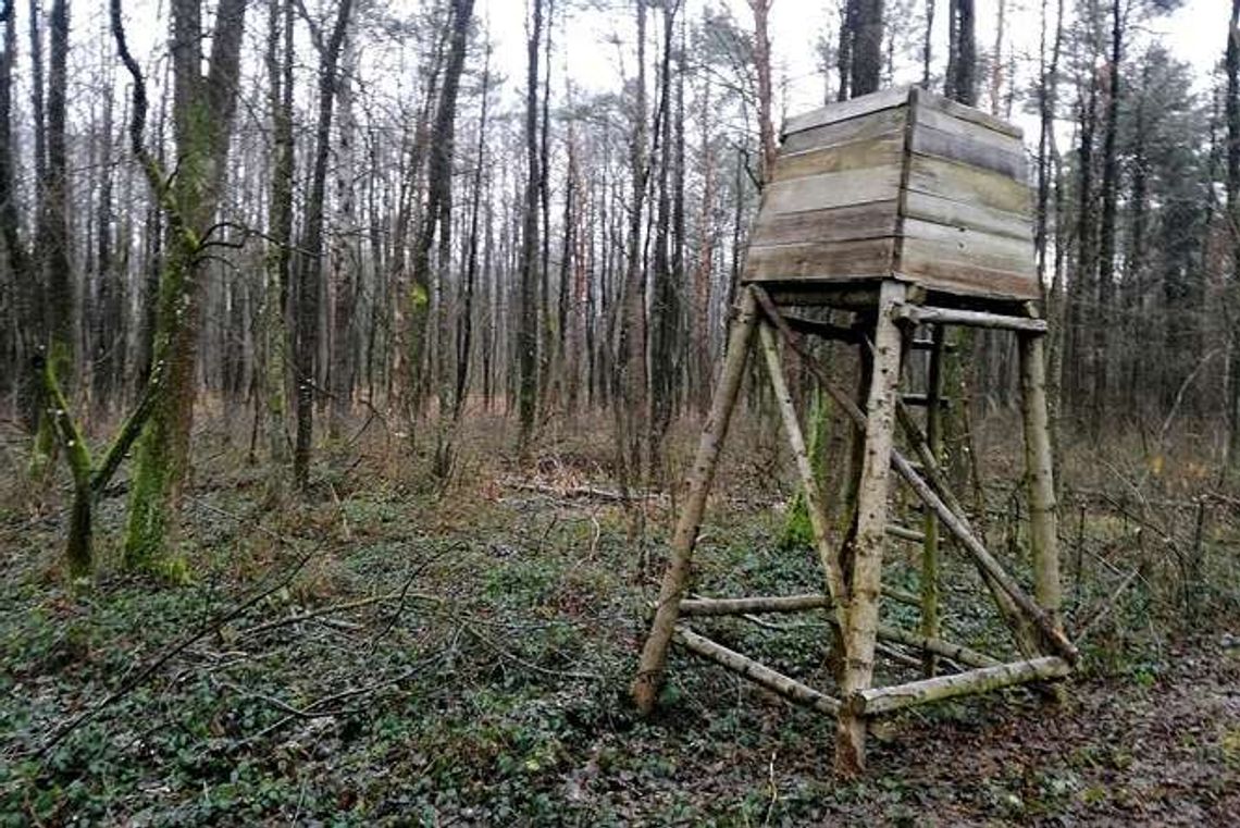 Czytelnik: Ambony łowieckie w miejscu gdzie nie można polować. Myśliwi odpowiadają Czytelnik: Ambony łowieckie w miejscu gdzie nie można polować. Myśliwi odpowiadają