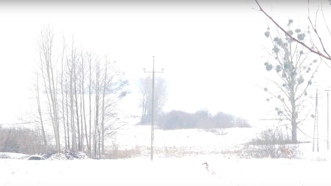 Czytelnik ruszył na poszukiwania śniegu. Trasa Zamość – Skierbieszów w 6 minut Czytelnik ruszył na poszukiwania śniegu. Trasa Zamość – Skierbieszów w 6 minut