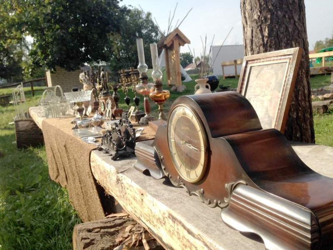 Dąbrówka: Antyki, alpaki i darmowa grochówka w sobotę