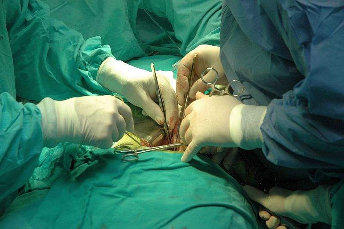 Dawców jak na lekarstwo. Najgorzej jest na wschodzie kraju Dawców jak na lekarstwo. Najgorzej jest na wschodzie kraju