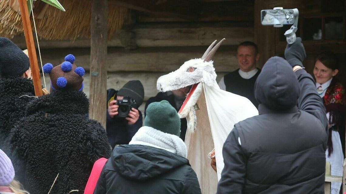 Dawna tradycja na chwilę odżyła. Kolędowanie z kozą w lubelskim skansenie [zdjęcia]