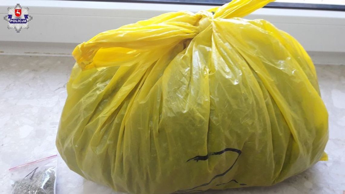 Dęblin: 31-latek miał 700 gramów marihuany