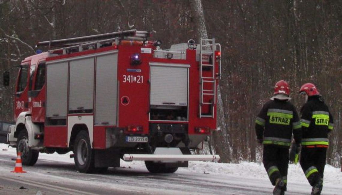 Dębów: W ogniu zginęły maciory i 30 prosiąt