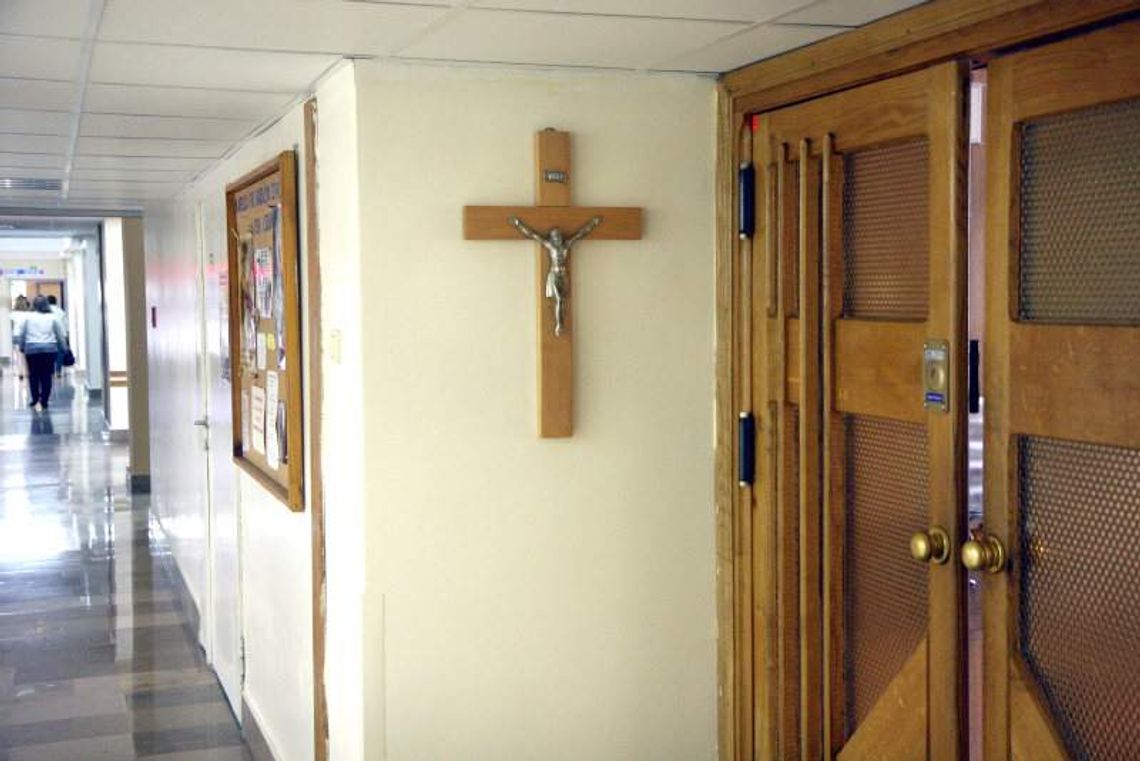 Deklaracja wiary: Lekarze za prawem Bożym