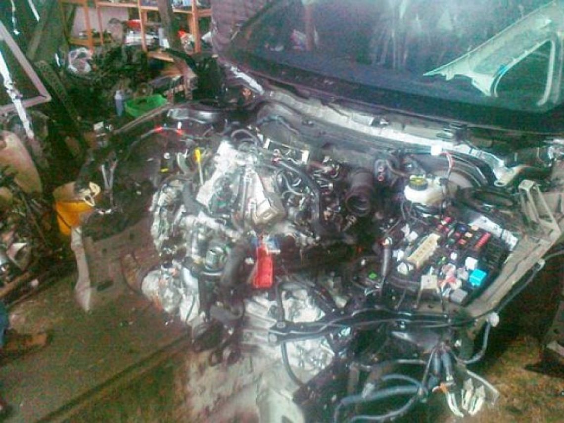 Demontowali toyotę skradzioną w Niemczech. \"Dziupla\" zlikwidowana Demontowali toyotę skradzioną w Niemczech. \"Dziupla\" zlikwidowana