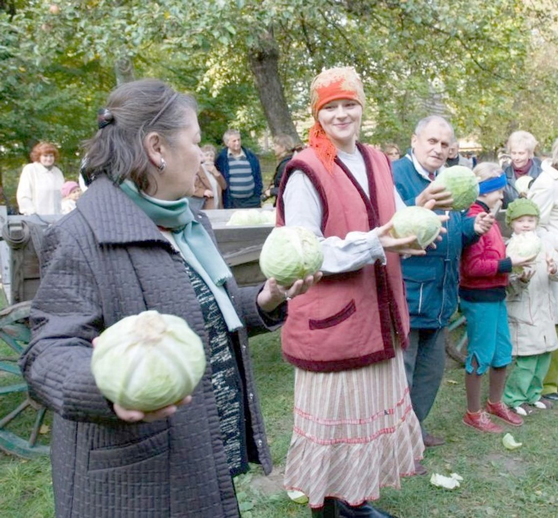 Deptanie kapusty w skansenie