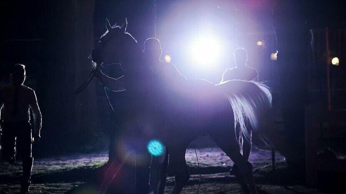 "Dewastacja hodowli" za rządów PiS. Prokuratura przygląda się wnioskom z audytu 